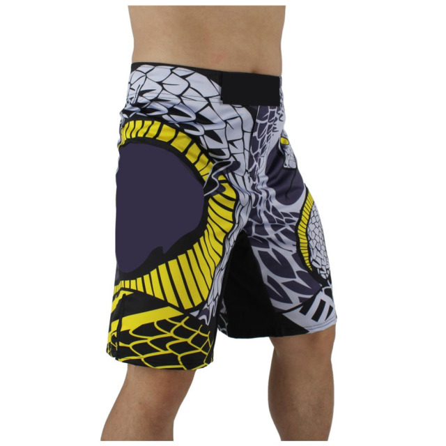 Dragon snake artwork design fight shorts mma combat shorts for men fighters
