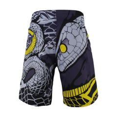 Dragon snake artwork design fight shorts mma combat shorts for men fighters