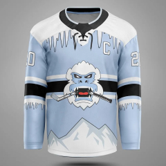 2024 New Season Ice Hockey Jersey - Team Uniforms Training Ice Hockey Jerseys