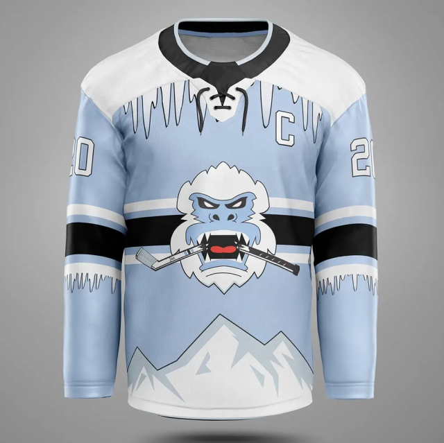 2024 New Season Ice Hockey Jersey - Team Uniforms Training Ice Hockey Jerseys