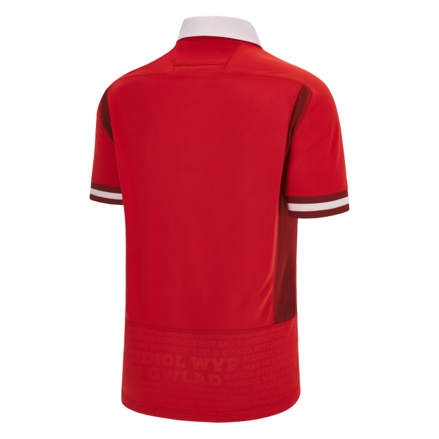Rugby Jersey Polo Shirt Rugby World Cup 2023 Men's Rugby Shirt