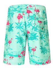 Mens Quick Dry Printed Beachshorts Swim Trunks with Mesh Lining Swimwear Bathing Suits