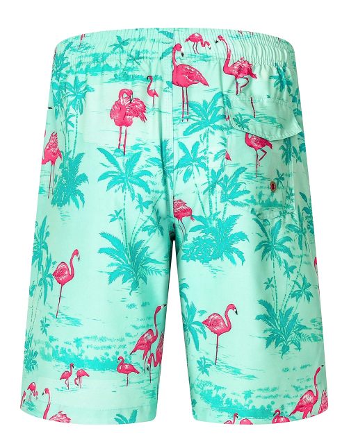 Mens Quick Dry Printed Beachshorts Swim Trunks with Mesh Lining Swimwear Bathing Suits