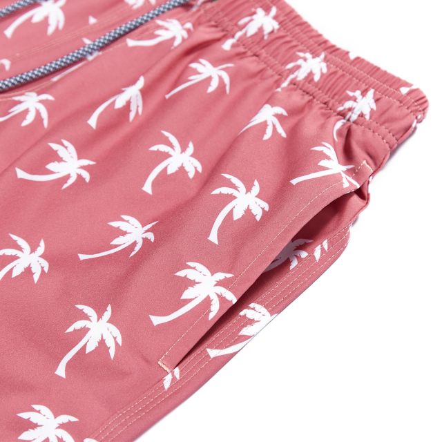 Men's Printed Beachwear Summer Swim Trunks Quick Dry Beachshorts