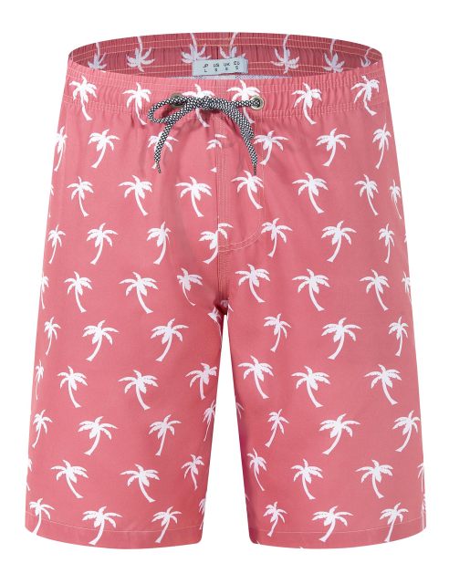 Men's Printed Beachwear Summer Swim Trunks Quick Dry Beachshorts