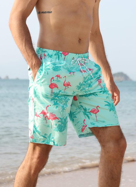 Mens Quick Dry Printed Beachshorts Swim Trunks with Mesh Lining Swimwear Bathing Suits