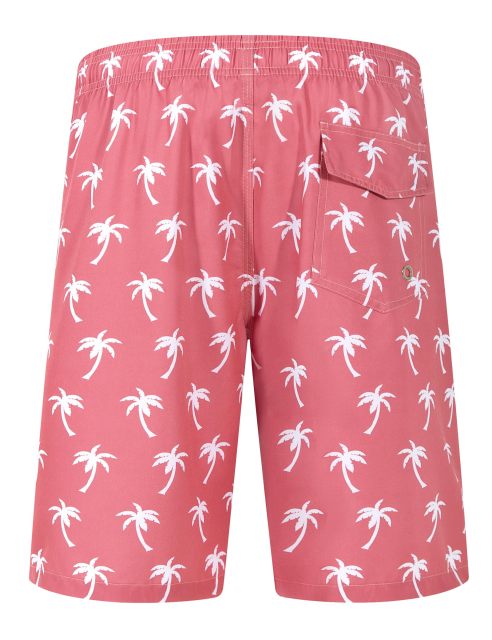 Men's Printed Beachwear Summer Swim Trunks Quick Dry Beachshorts