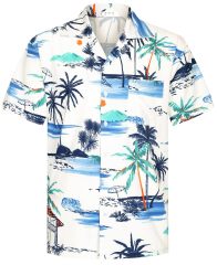 Men's Casual Hawaiian Shirt Short Sleeve Quick Dry Cruise Beach Shirts