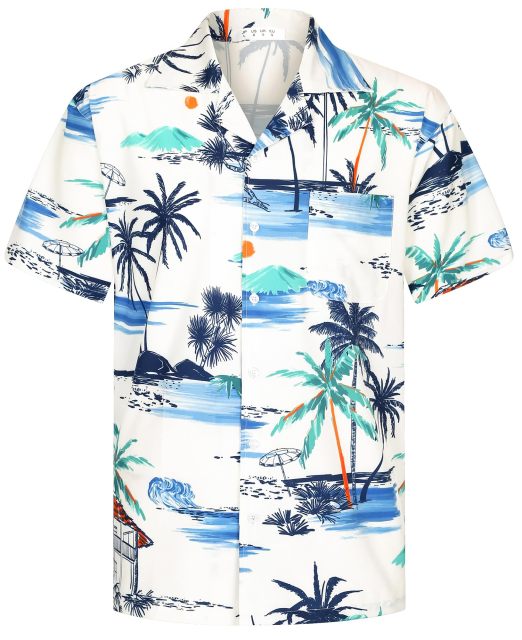 Men's Casual Hawaiian Shirt Short Sleeve Quick Dry Cruise Beach Shirts