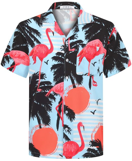 Men's Regular Fit Short Sleeve Casual Hawaiian Shirt for Men