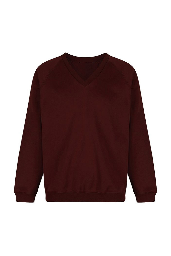 Premium Schoolwear Personalized Logo Solid Color Hoodies Unisex V-neck Sweatshirts