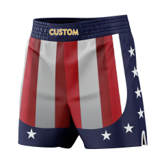 High Quality Custom Design Men's Fight Bjj Wrestling Shorts