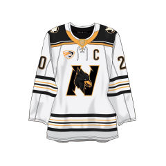 Pro-Grade Custom Ice Hockey Jersey Quick-Dry Sublimated Team Uniform