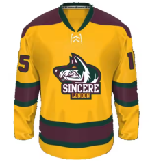Personalized Ice Hockey Jerseys Custom Uniforms Any Name Number Available