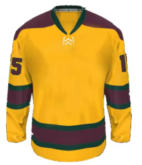 Personalized Ice Hockey Jerseys Custom Uniforms Any Name Number Available