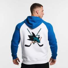 Unisex Pullover Hoodie Custom Printing Thick Heavy Customized Winter Hoodies