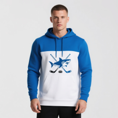 Autumn and Winter Heavyweight Hoodies Customized Printed Polyester Hoodies Unisex Pullover Sweatshirt