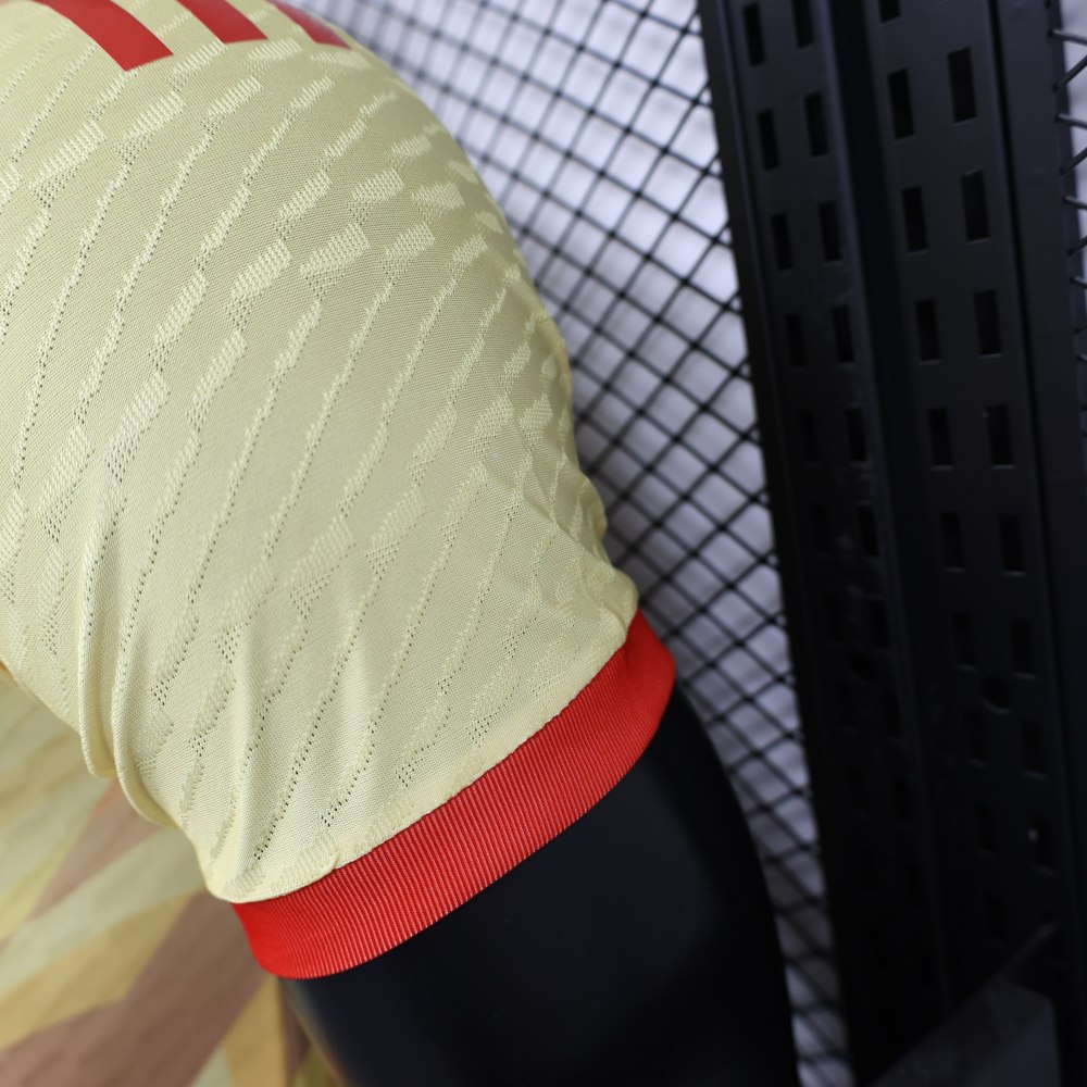 2024/2025 Spain Special Edition Football Shirt (Player Edition)