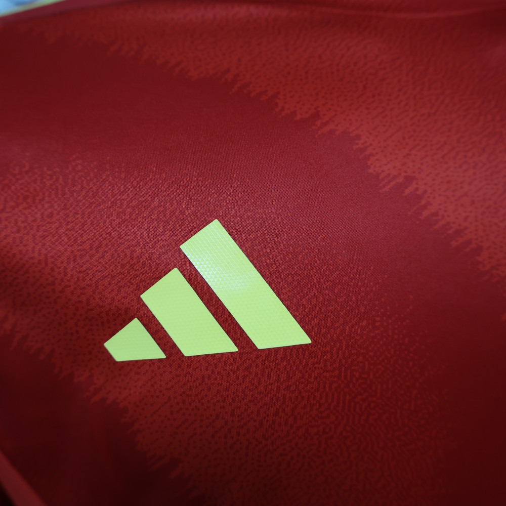 2024 Spain Home Long Sleeve Football Shirt (Player Edition)