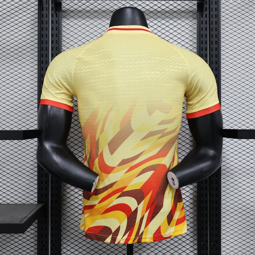 2024/2025 Spain Special Edition Football Shirt (Player Edition)