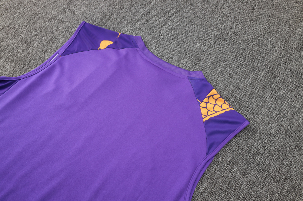 2024/2025 Real Madrid purple adult vest training suit (Adult Kit)