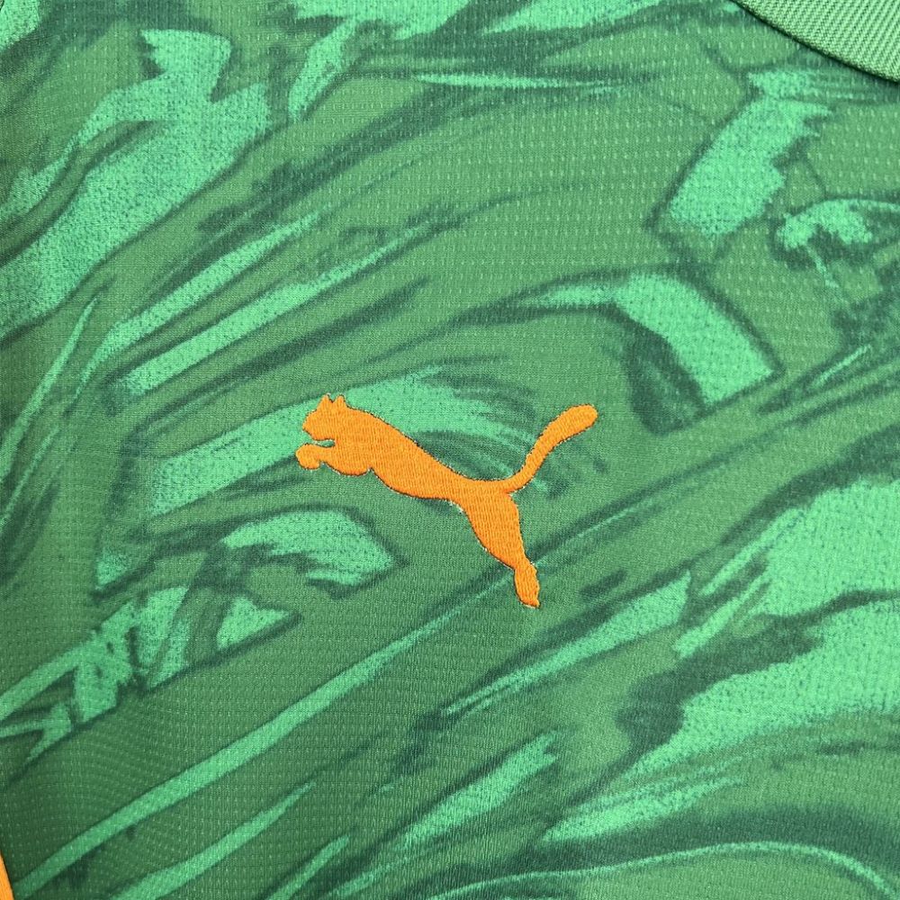 2024/2025 Dortmund Green Goalkeeper Football Shirt (Fan Edition)