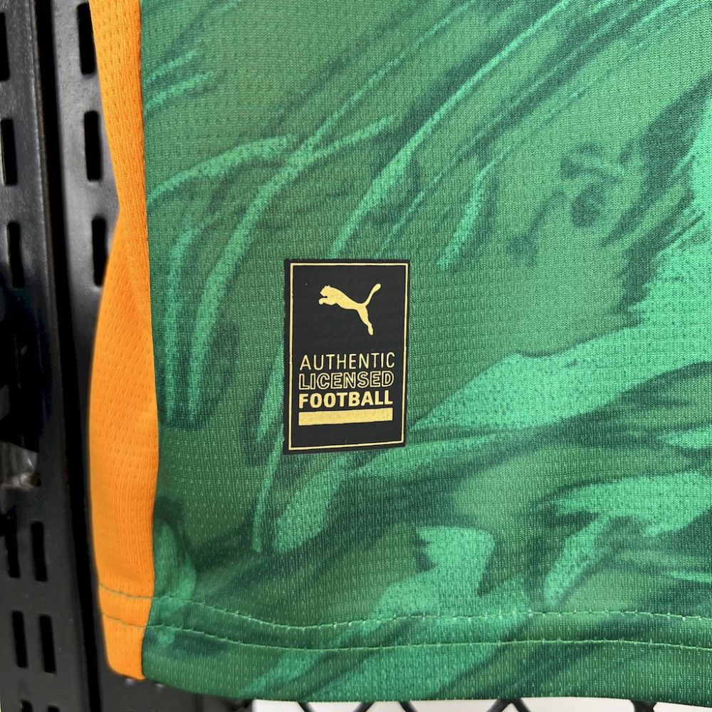 2024/2025 Dortmund Green Goalkeeper Football Shirt (Fan Edition)