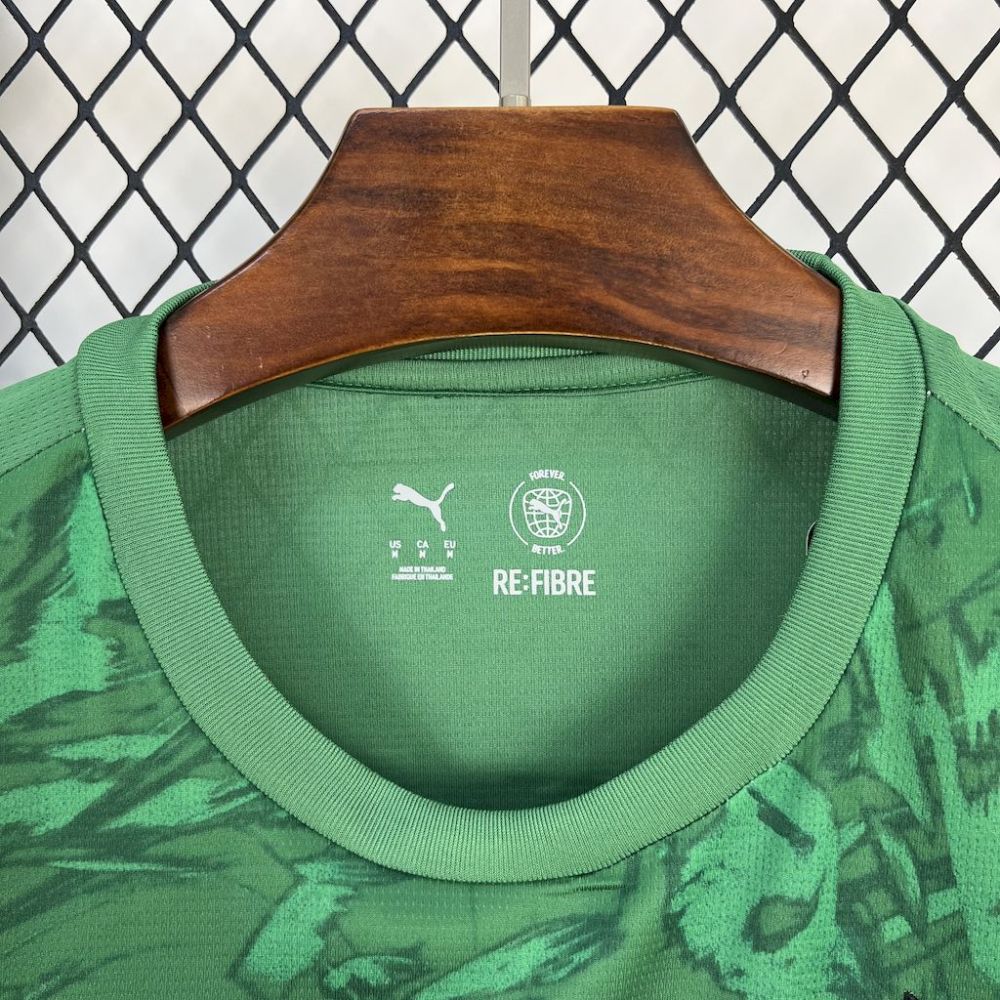 2024/2025 Dortmund Green Goalkeeper Football Shirt (Fan Edition)