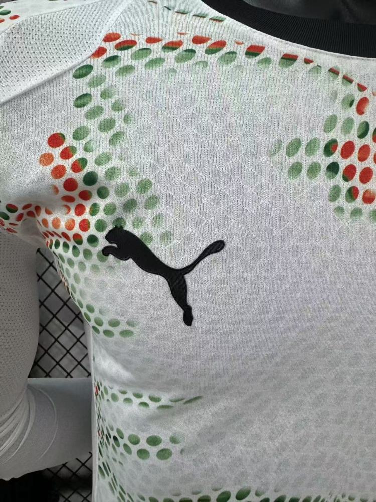 2025/2026 Portugal Away Long Sleeve Football Jersey (Player Version)