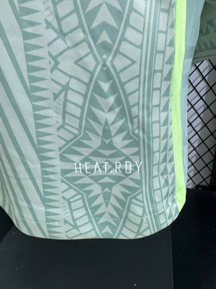 2024/2025 Mexico Away Long Sleeved  Football Shirt （Player Edition）