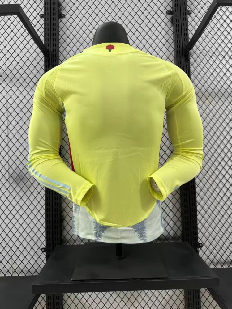2024/2025 Spain Away Long Sleeved Football Shirt (Player Edition)