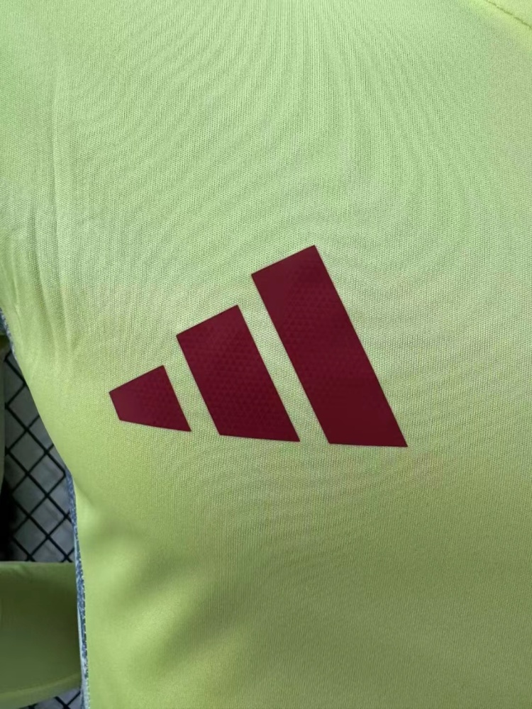 2024/2025 Spain Away Long Sleeved Football Shirt (Player Edition)