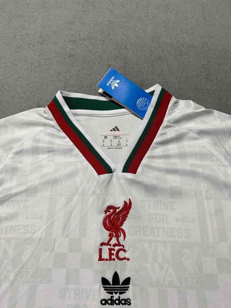 2025/2026 Liverpool Special Edition Football Jersey (Fans)