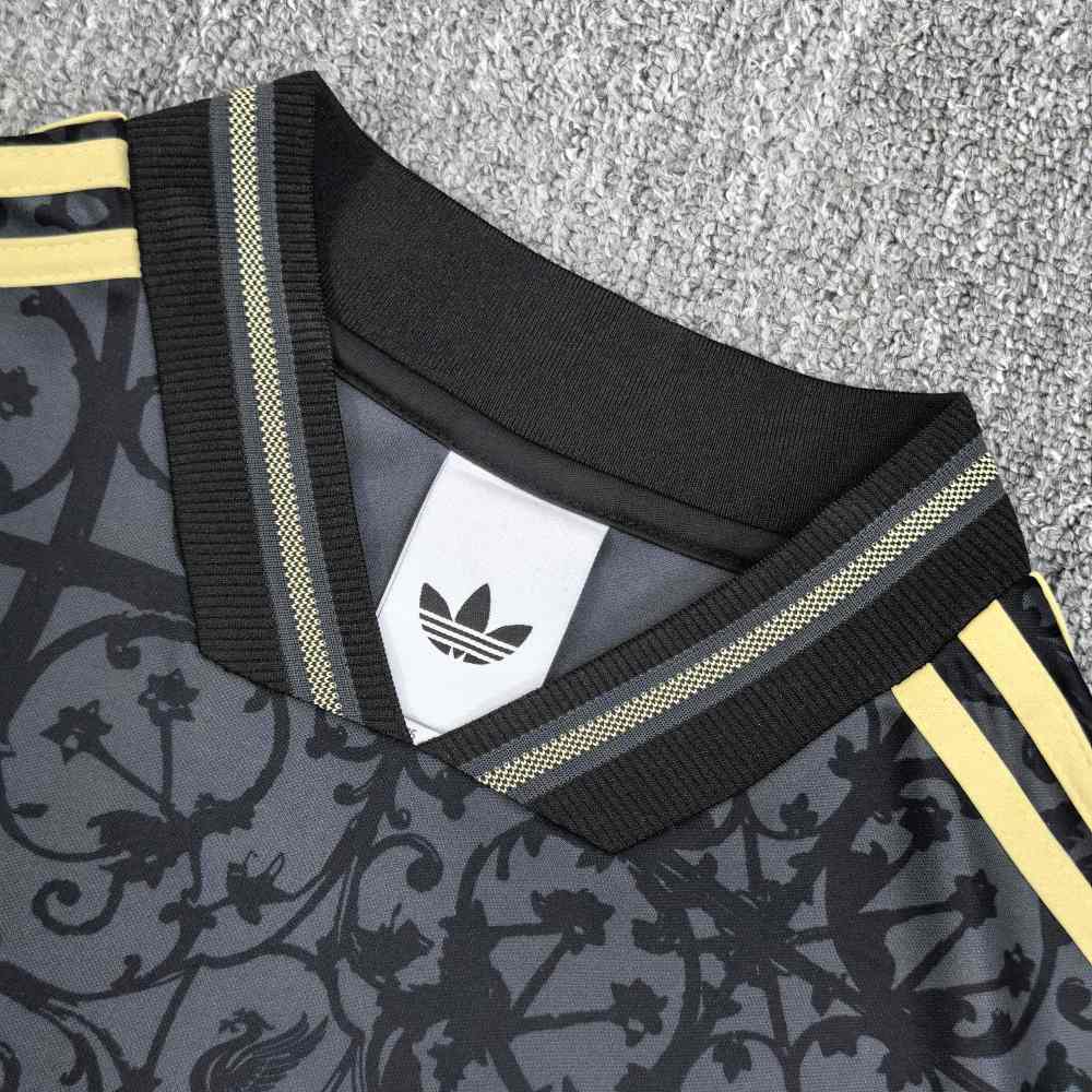 2025/2026 Liverpool Special Edition Football Jersey (Fans)