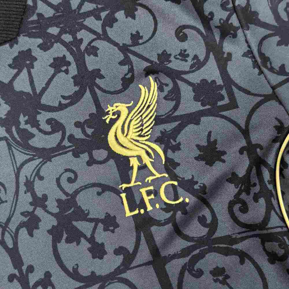 2025/2026 Liverpool Special Edition Football Jersey (Fans)