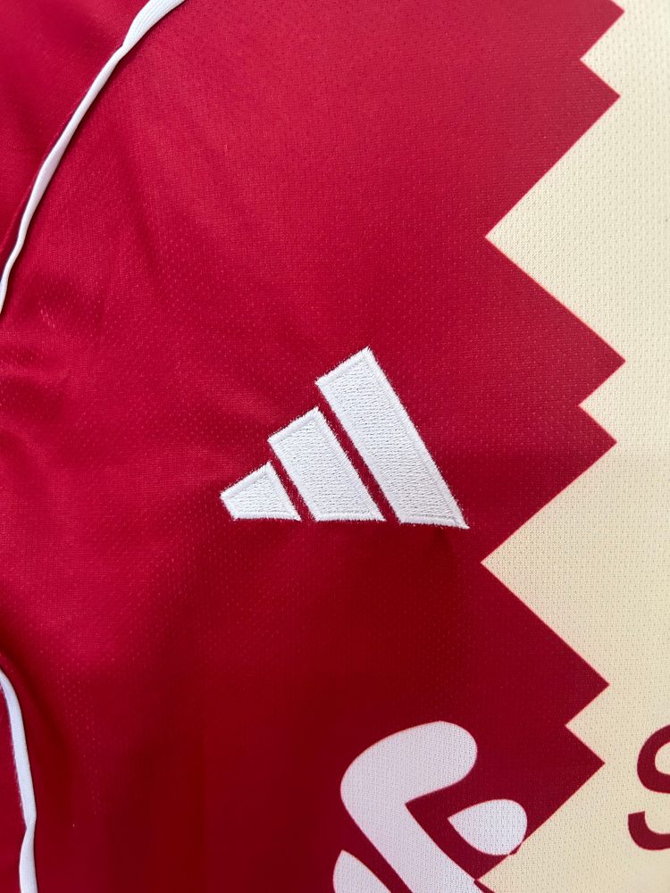 2025/2026 Liverpool Special Edition Football Jersey (Fans)