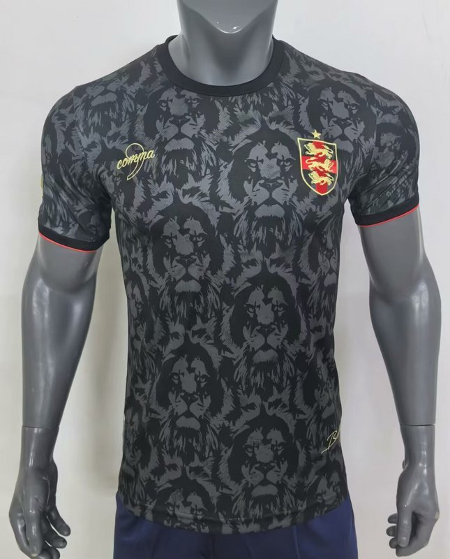 England 24/25 Special Jersey-Player Version