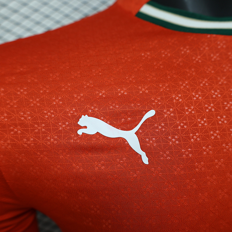 Portugal  24/25 Special Long Sleeve Jersey-Player Version