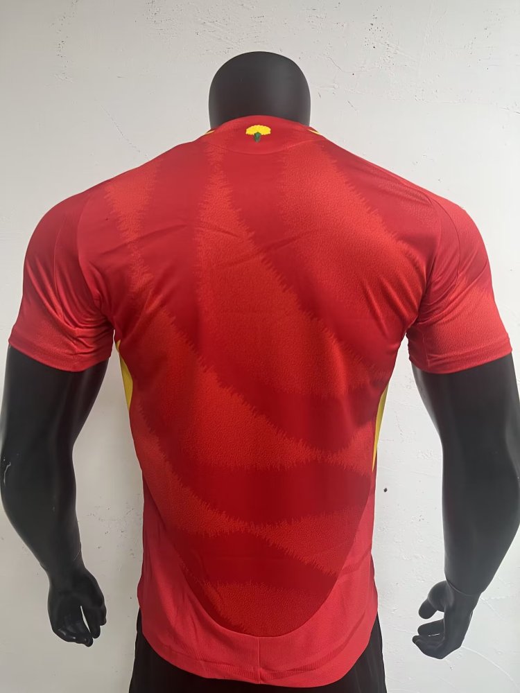Spain 24/25 Home Jersey Player Version