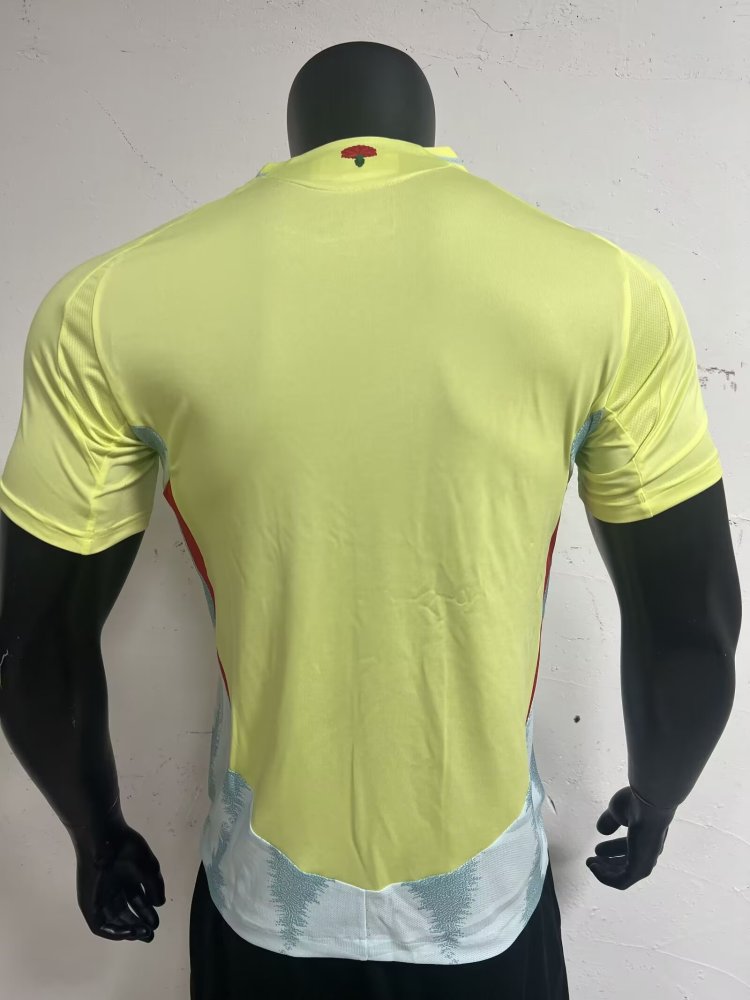 Spain 24/25 Away Jersey Player Version