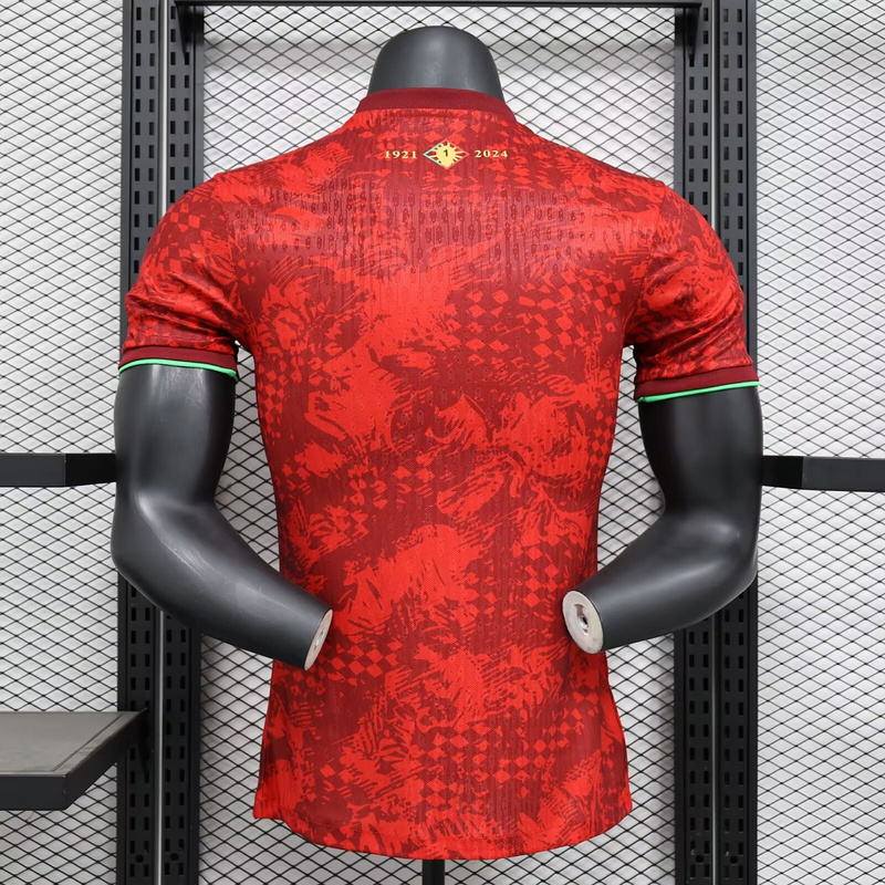 Portugal  24/25 Special Jersey-Player Version