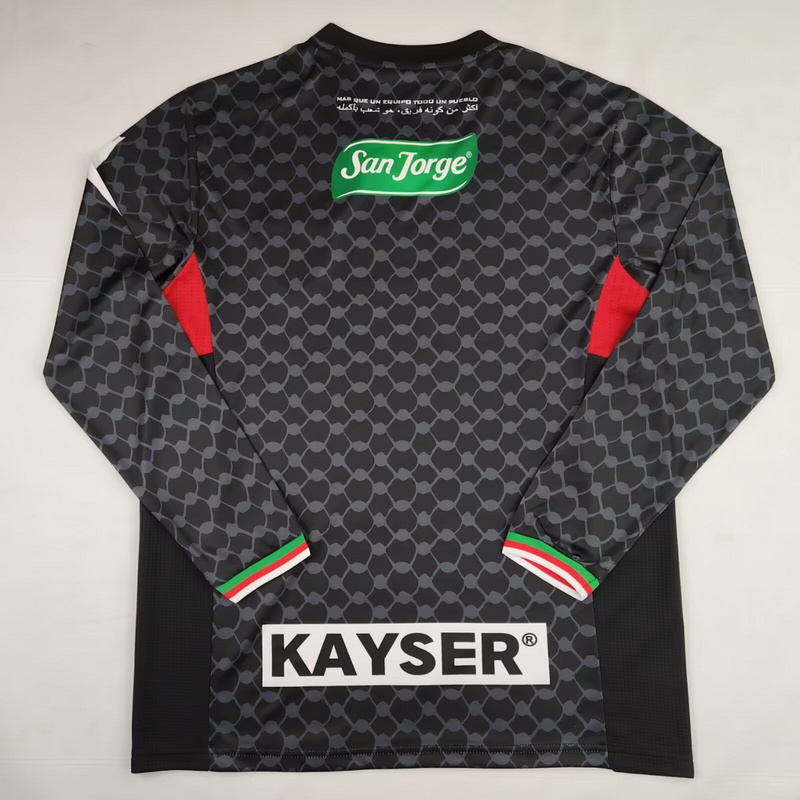 Palestine  long sleeves 24/25 Away jersey