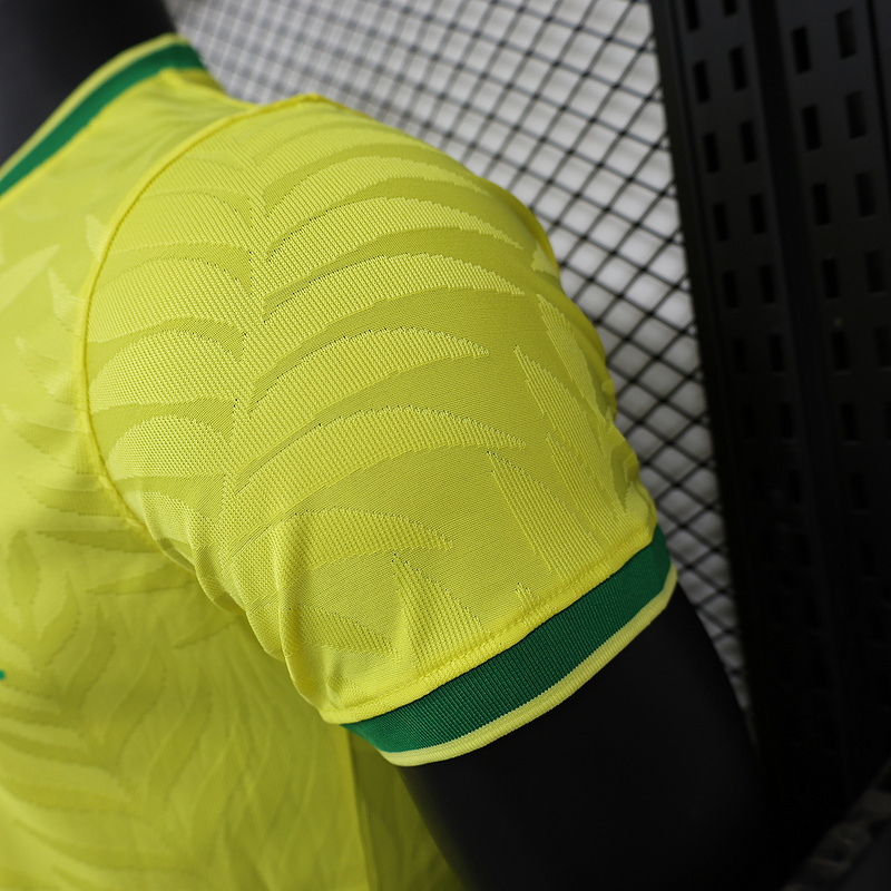 Brazil 24-25 Special Jersey-Player Version