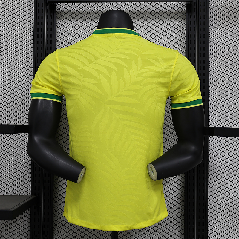 Brazil 24-25 Special Jersey-Player Version