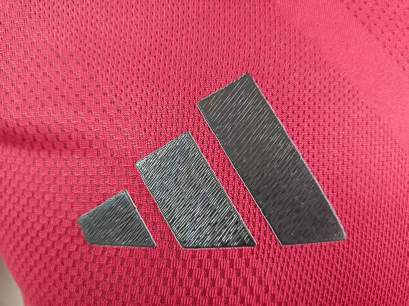 Ajax 25/26 Red Polo Jersey-Player Version