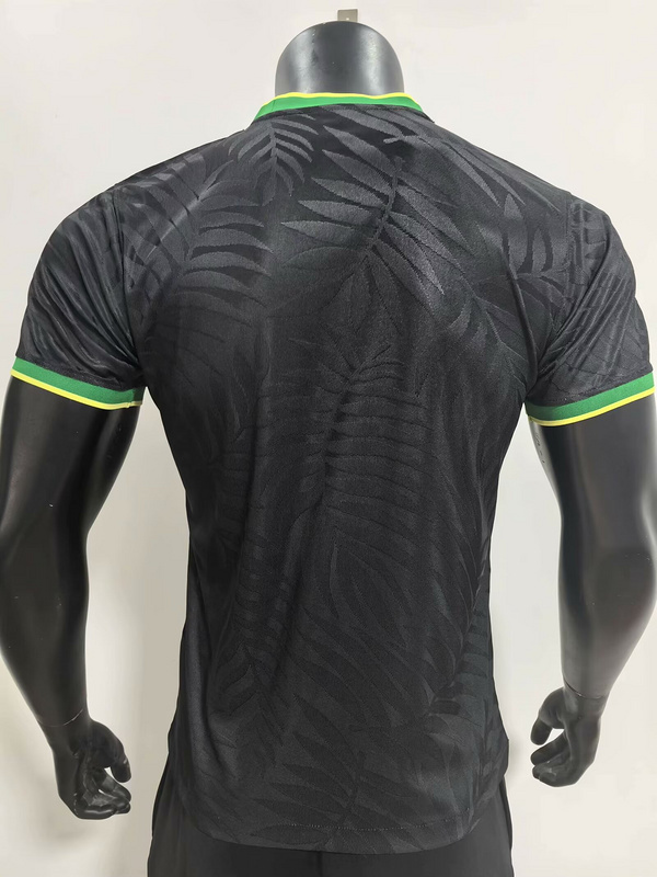Brazil 24-25 Special Jersey-Player Version