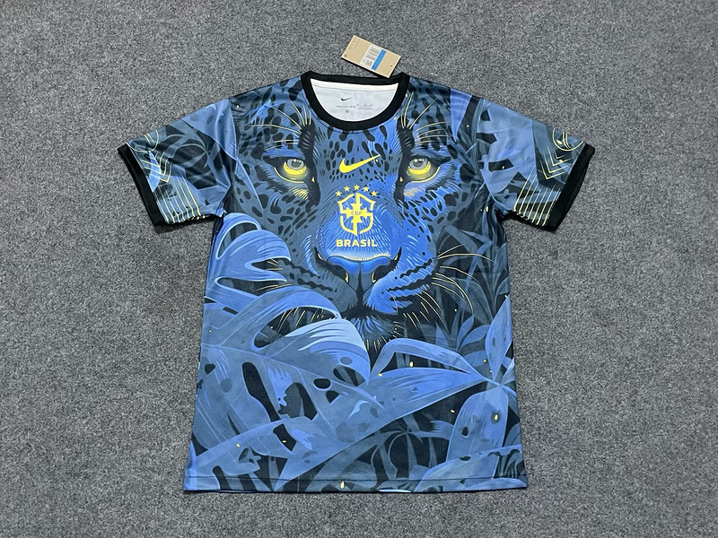 Brazil 2024  Special Soccer Jerseys - Fans Version