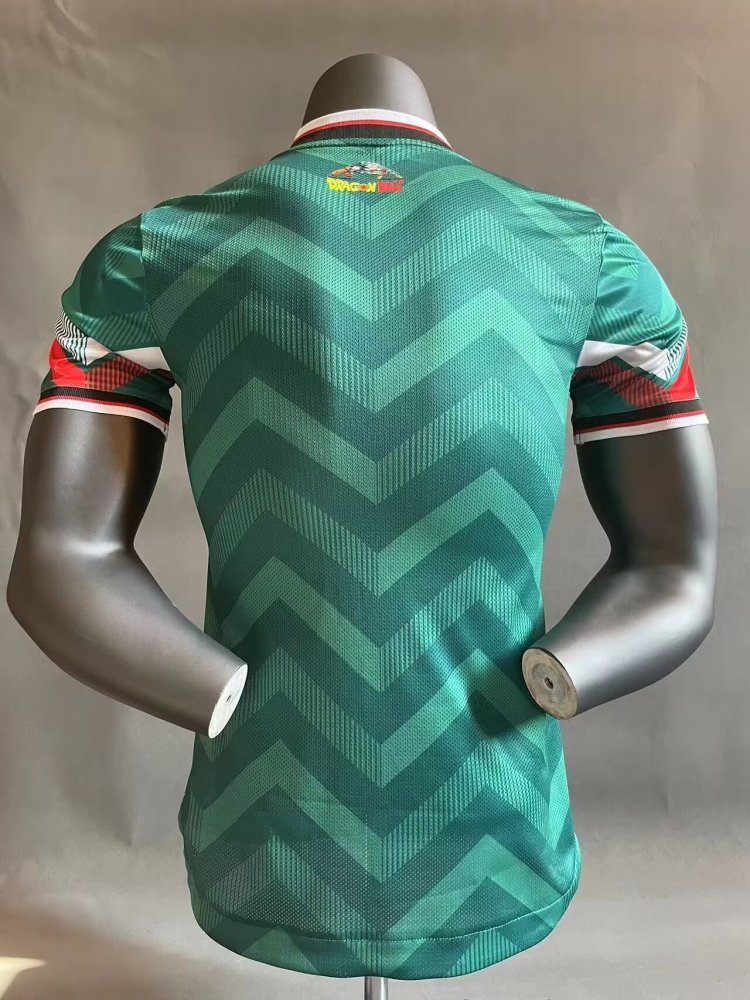 Mexico 2024 Special Jersey-Player Version