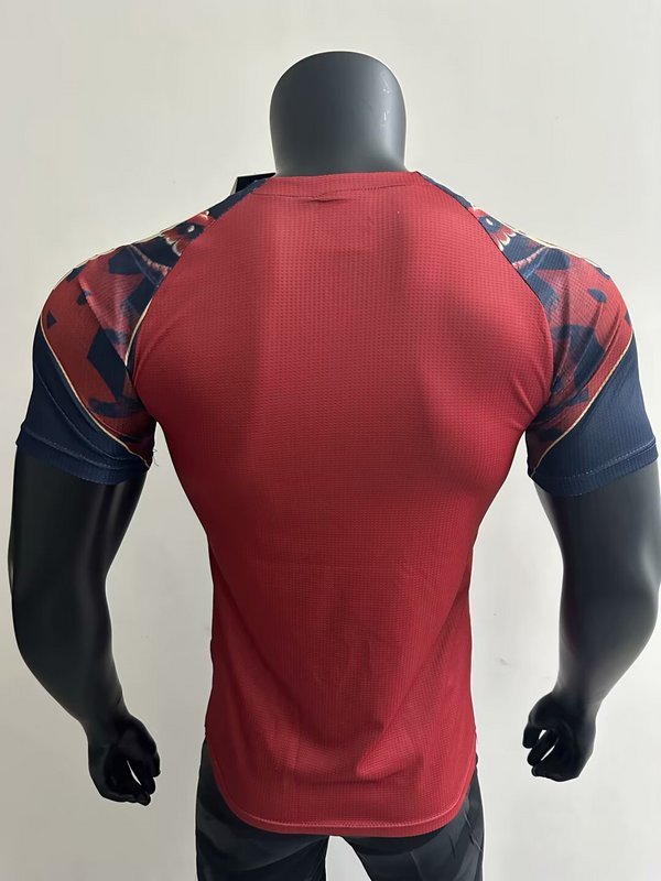 Manchester United 25/26 Special Jersey-Player Version