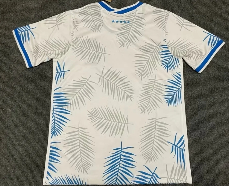 Brazil  22-23 Joint Edition- Fans Version